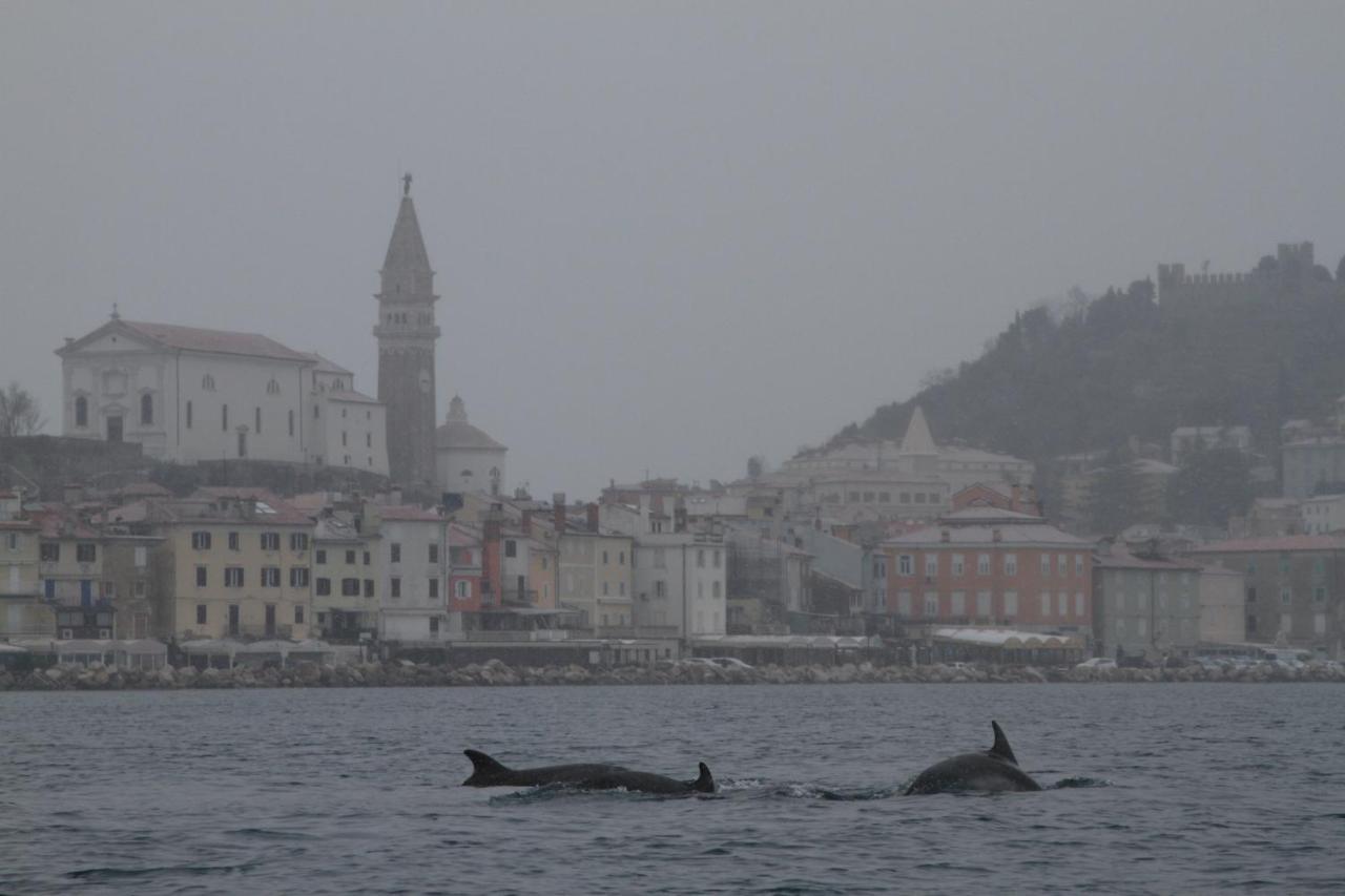 Sal & Mar Apartments Piran Dış mekan fotoğraf