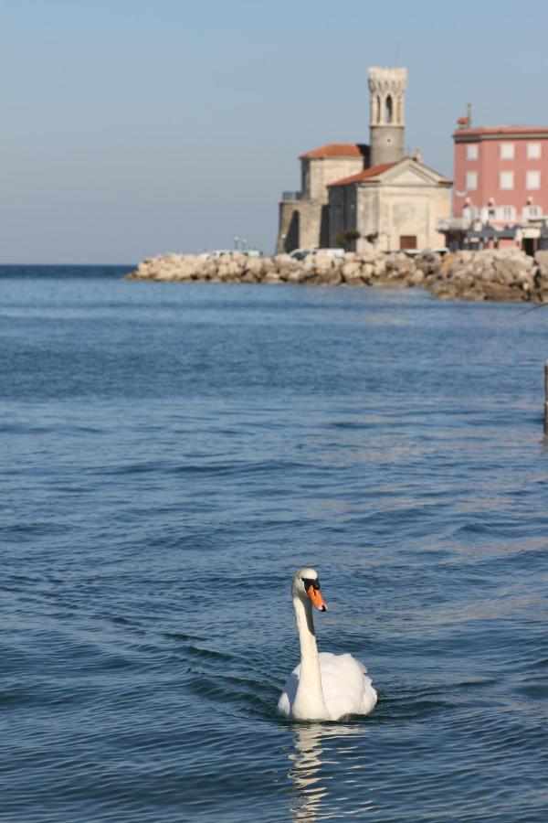 Sal & Mar Apartments Piran Dış mekan fotoğraf